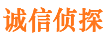 盐湖私家侦探